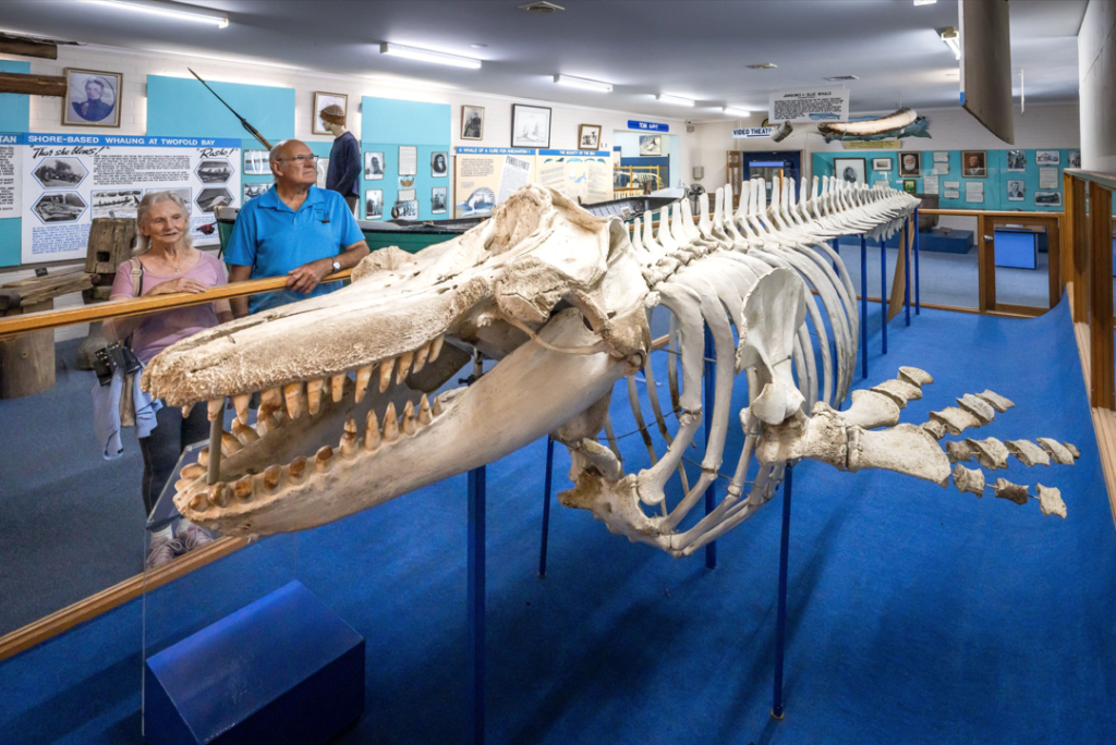 Museum 