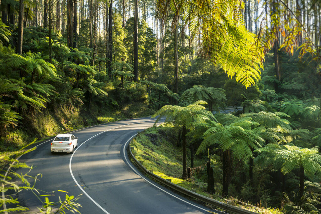 Black Spur Drive