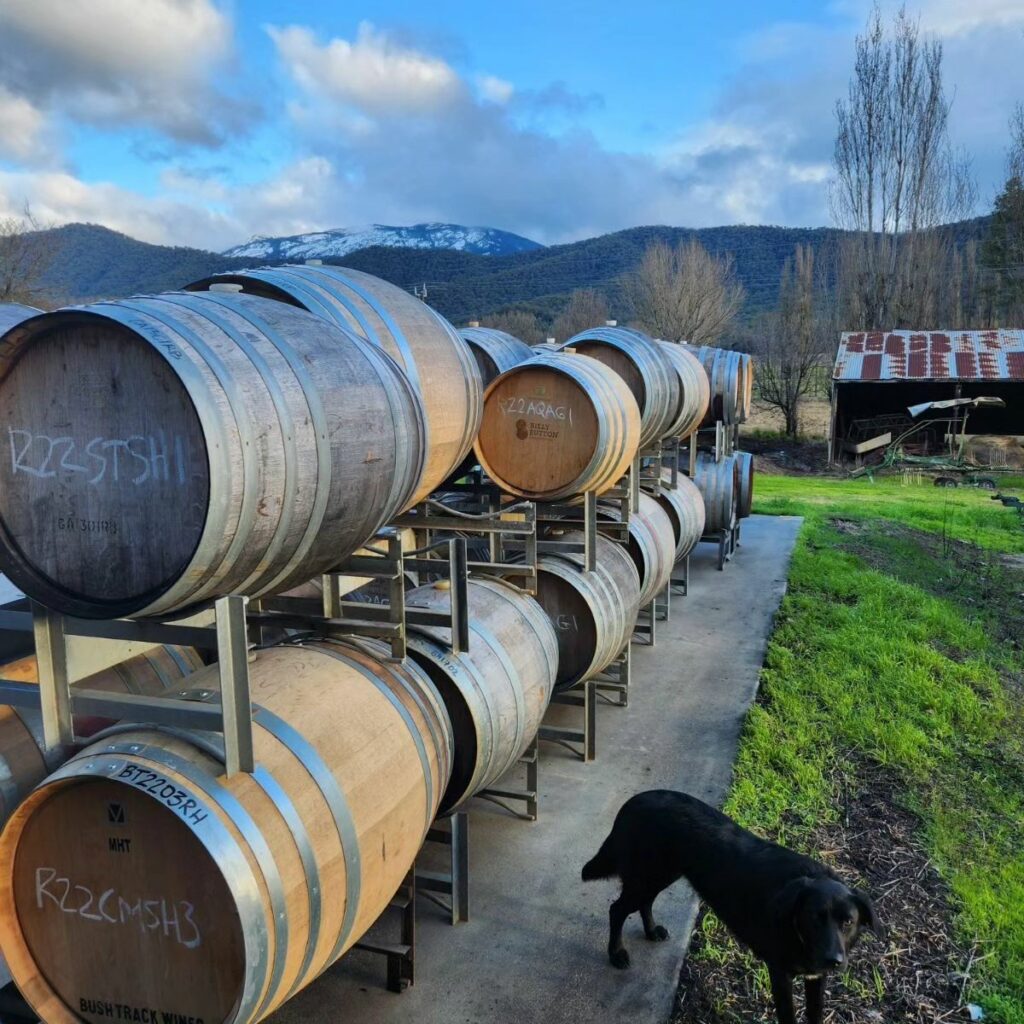 Alpine Roots Winery 6 Best Wineries In Alpine Valleys 2026 - Humble Trail