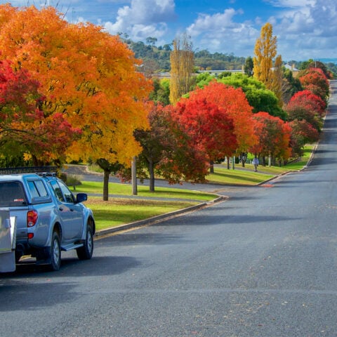 Armidale