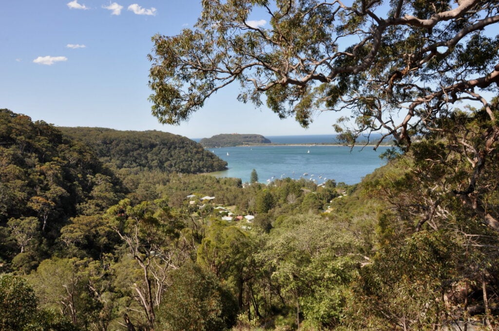 Ku-ring-gai Chase National Park