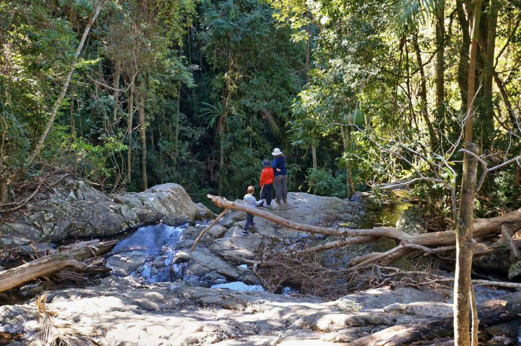 Mount Glorious Greenes Falls Circuit