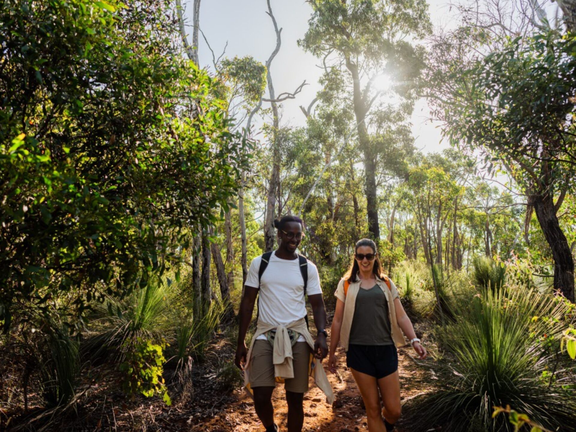 18 Must-See National Parks in and Around Melbourne for Nature Lovers ...