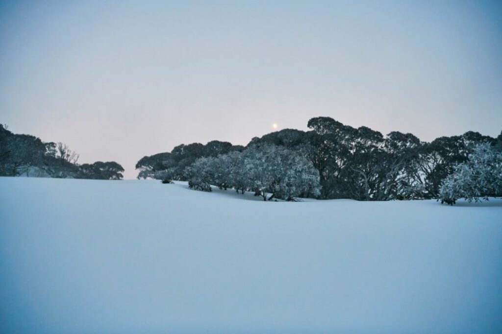 Charlotte Pass