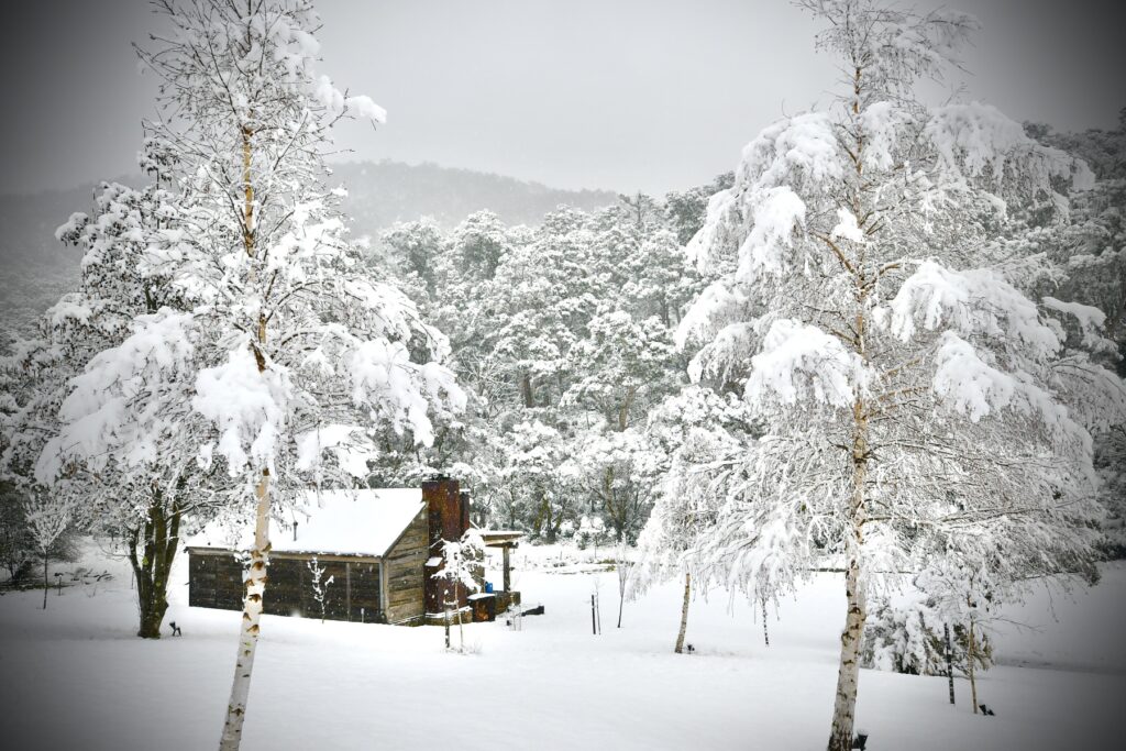 Moonbah Hut