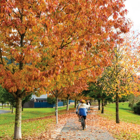 Autumn