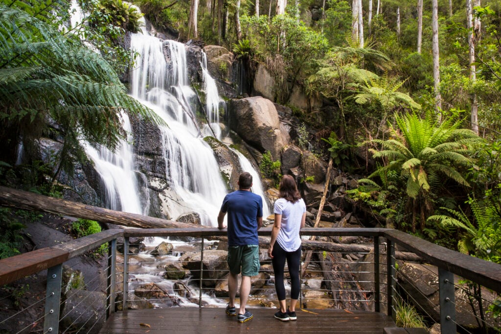 Toorongo Falls