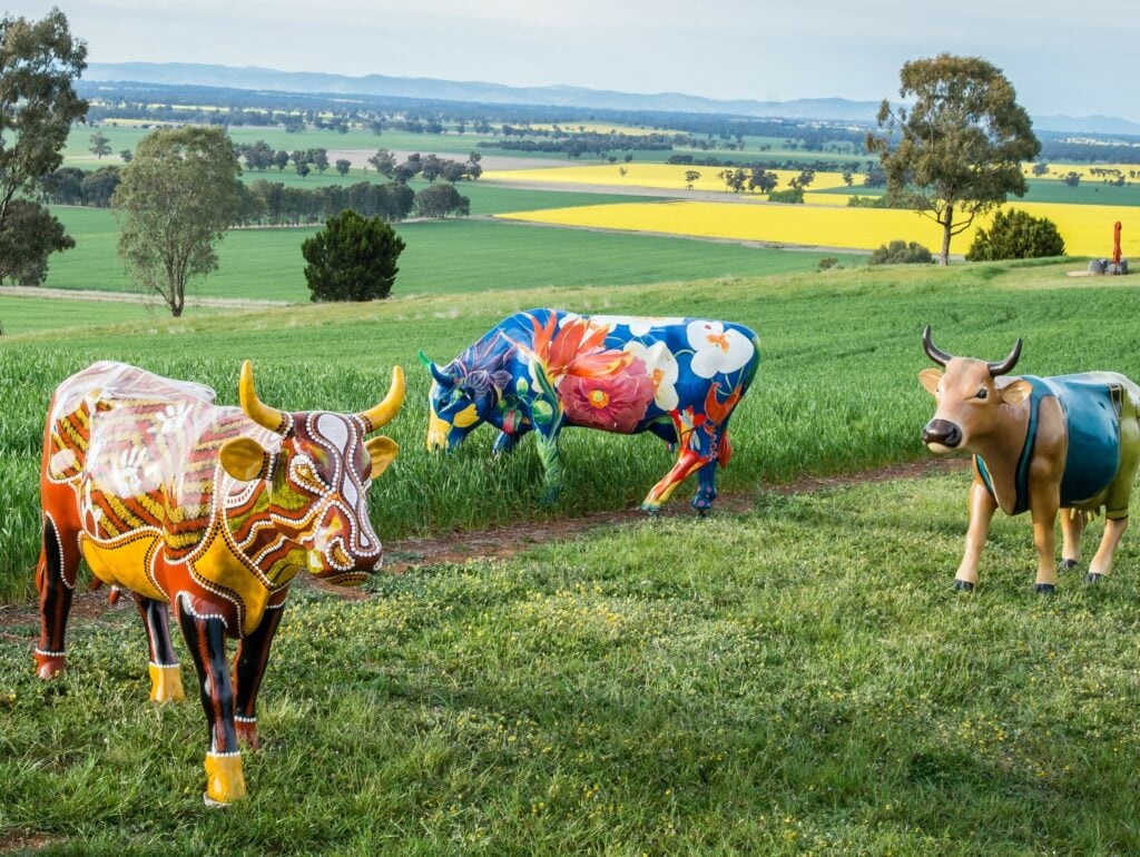 Shepparton