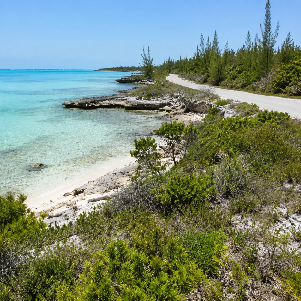 Little Abaco Bahamas remote shoreline with pine scrub, quiet road, shallow turquoise flats, no crowds