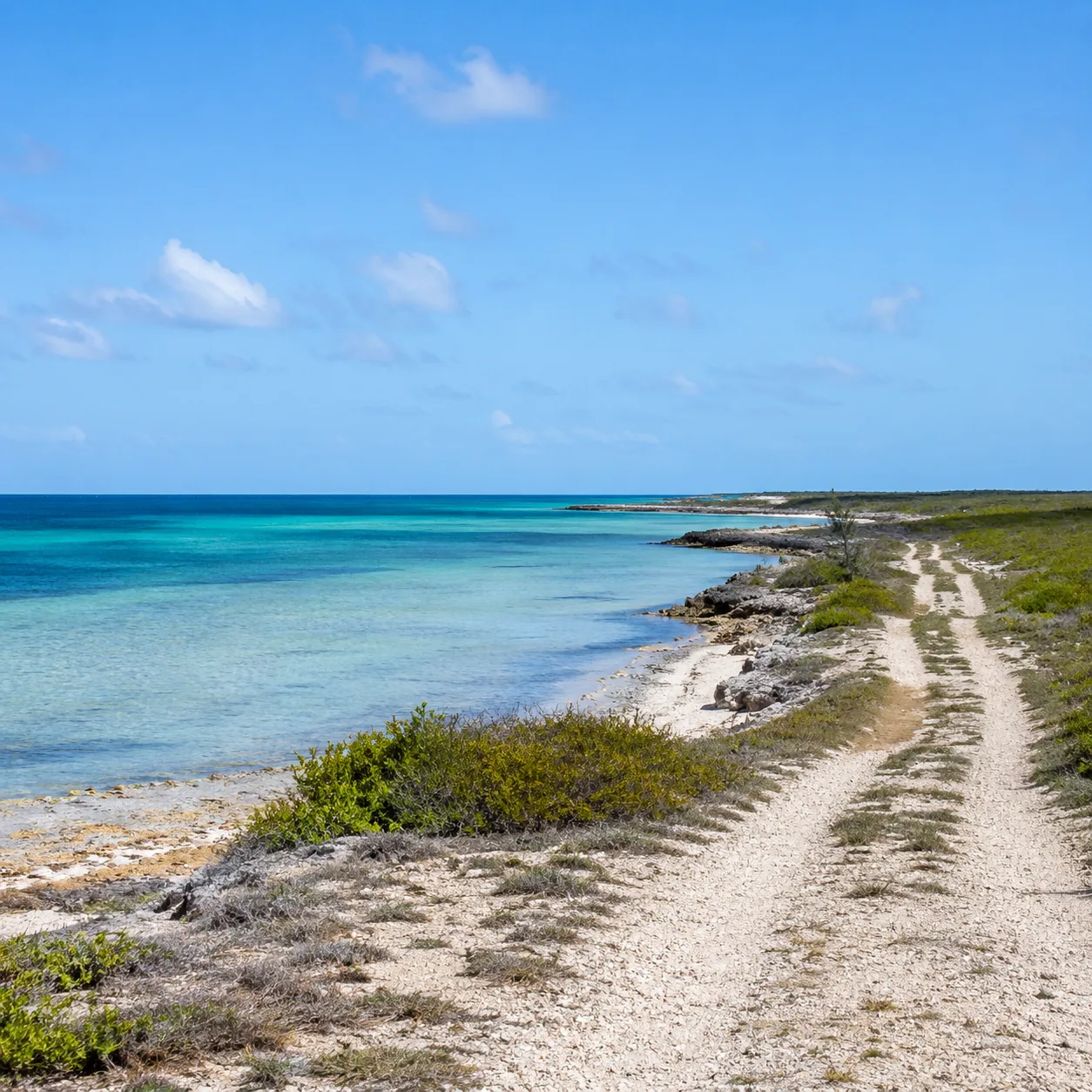 Mayaguana Bahamas remote island beach with rough track, scrub vegetation, shallow water, no tourists, bright natural lig