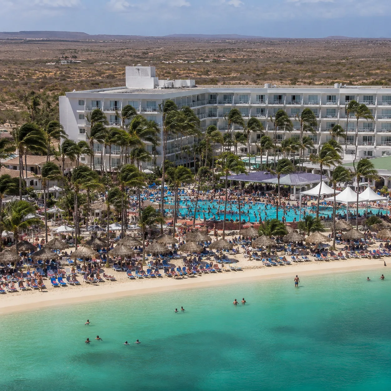 Square editorial travel photo of a crowded Aruba all-inclusive resort on Palm Beach, narrow beach chair section, packed 