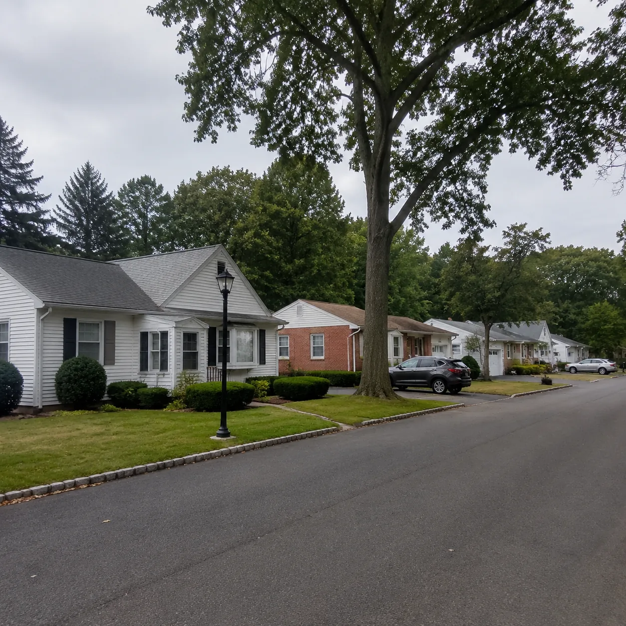 Realistic editorial photo of a large New Jersey 55 plus community with older low-rise homes, mature trees, parked cars, 