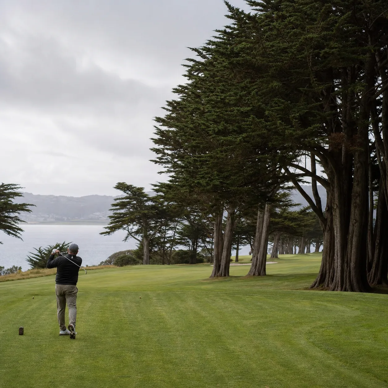 Realistic editorial photo of a municipal golf course lined with Monterey cypress trees near a calm lake in San Francisco