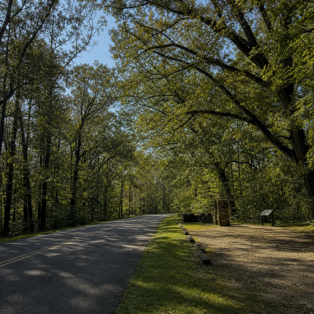 Realistic editorial photo of the Natchez Trace Parkway with a quiet two-lane road, old trees, soft Southern light, and a