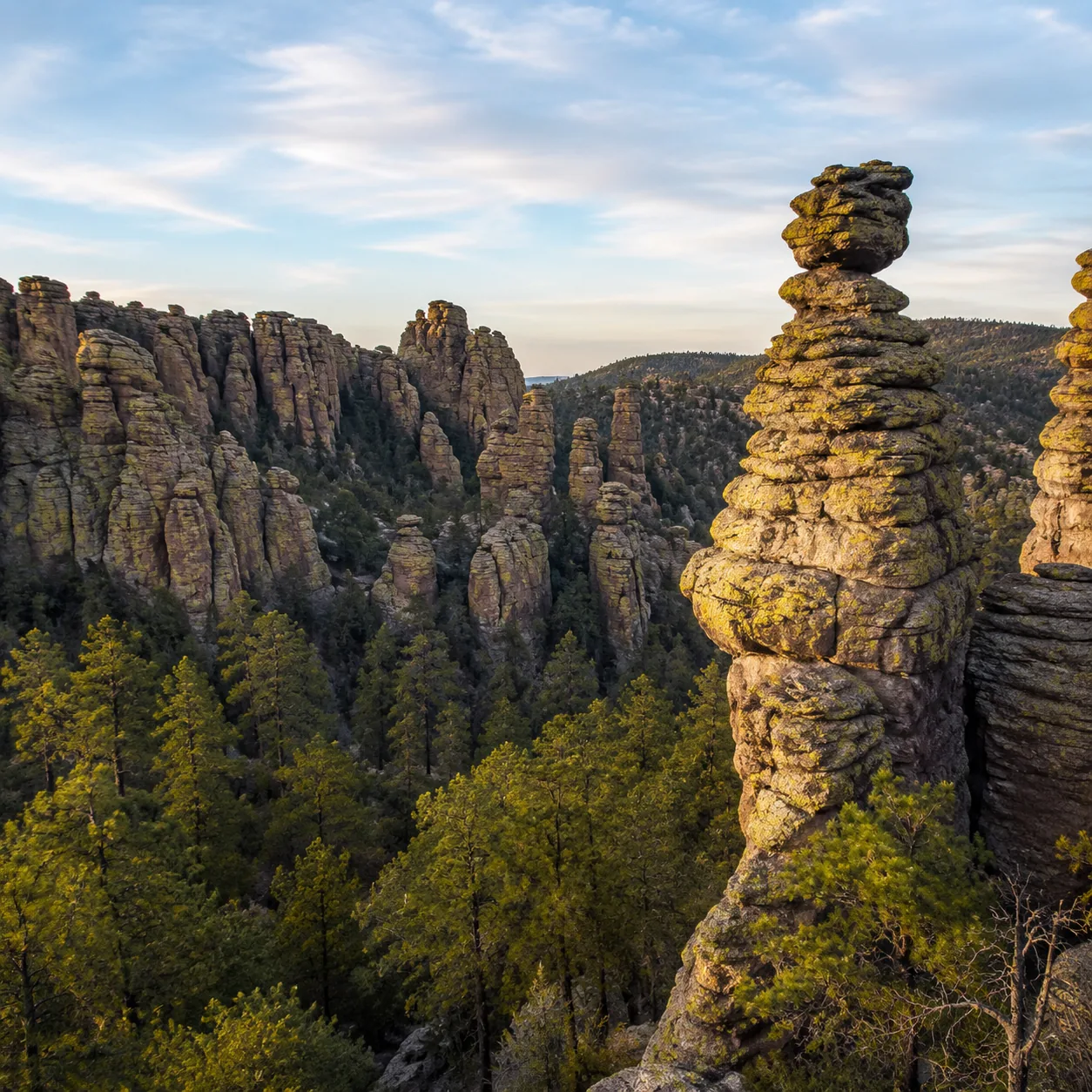 Realistic editorial photo of rhyolite rock spires and pine trees in Chiricahua National Monument Arizona, warm natural t